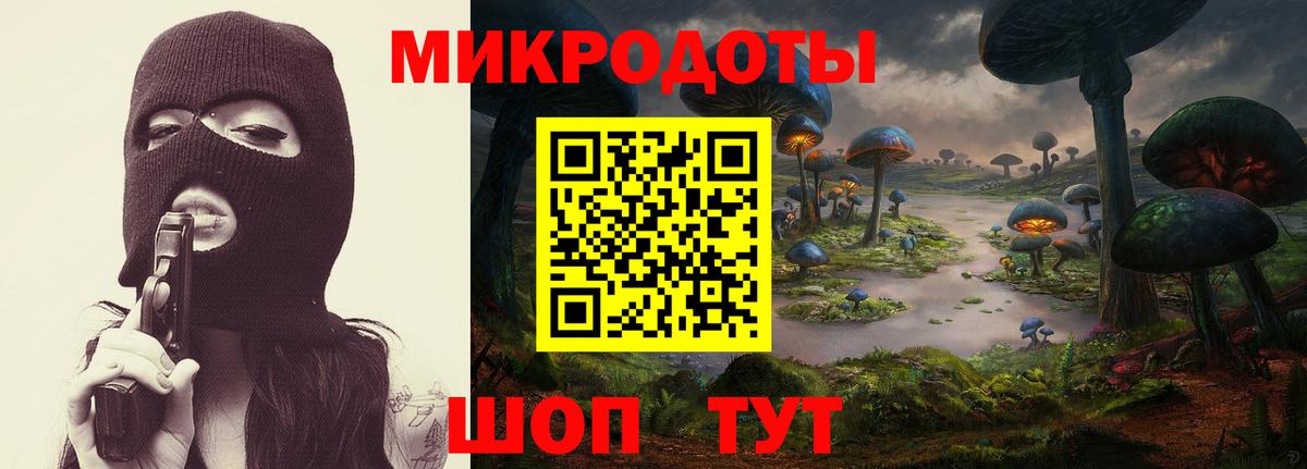Черногорск  Псилоцибиновые грибы Psilocybe  Вход с VPN  наркошоп  Псилоцибиновые грибы Psilocybe 
