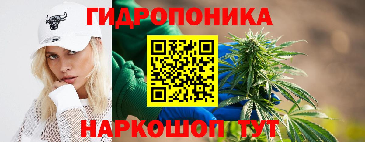 Шишки марихуана конопля Черногорск